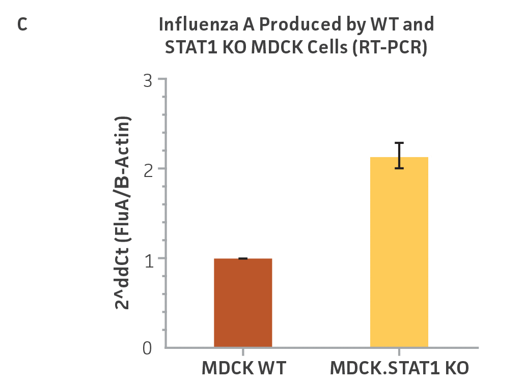 Graph of Influenza A produced by WT and STAT1 KO MDCK cells (RT-PCR).
