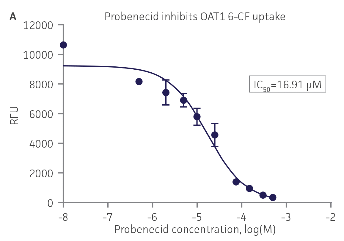 SLC transporter-expressing cells demonstrate highly specific uptake activities.