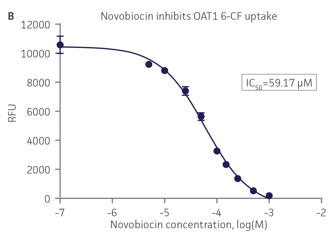 SLC transporter-expressing cells demonstrate highly specific uptake activities.