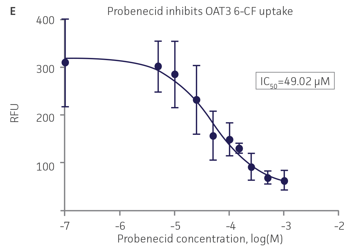 SLC transporter-expressing cells demonstrate highly specific uptake activities.