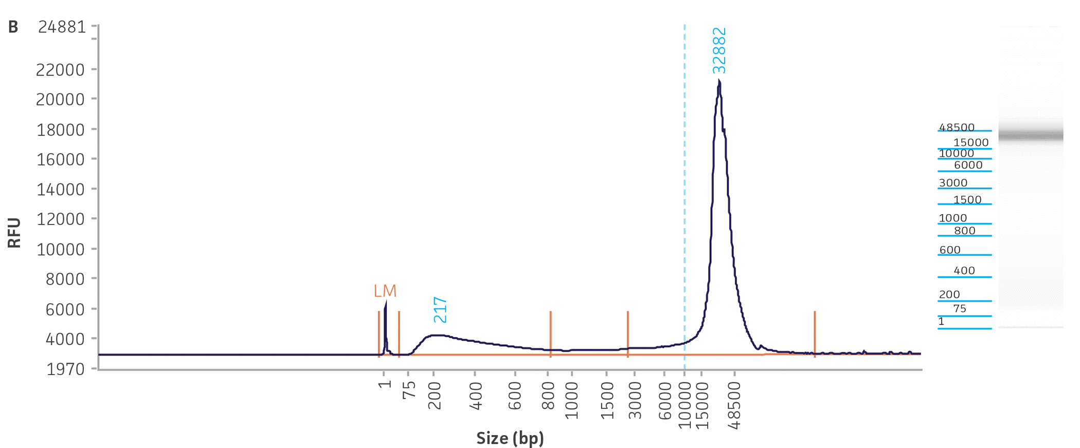 Quality assessment for NGS-ready DNA used in this study.