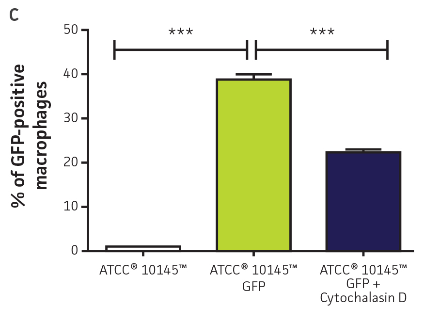 High-throughput detection of pathogen-host interactions.