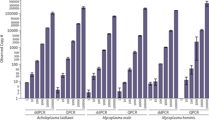 Graph showing predicted versus actual copy number mycoplasma DNA controls