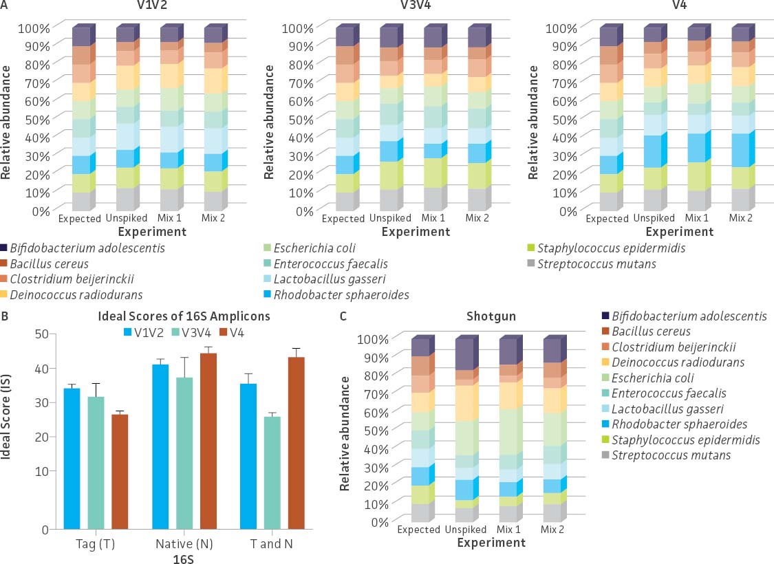 16S rRNA gene amplicon and shotgun metagenome sequencing