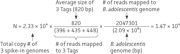 Equation 2