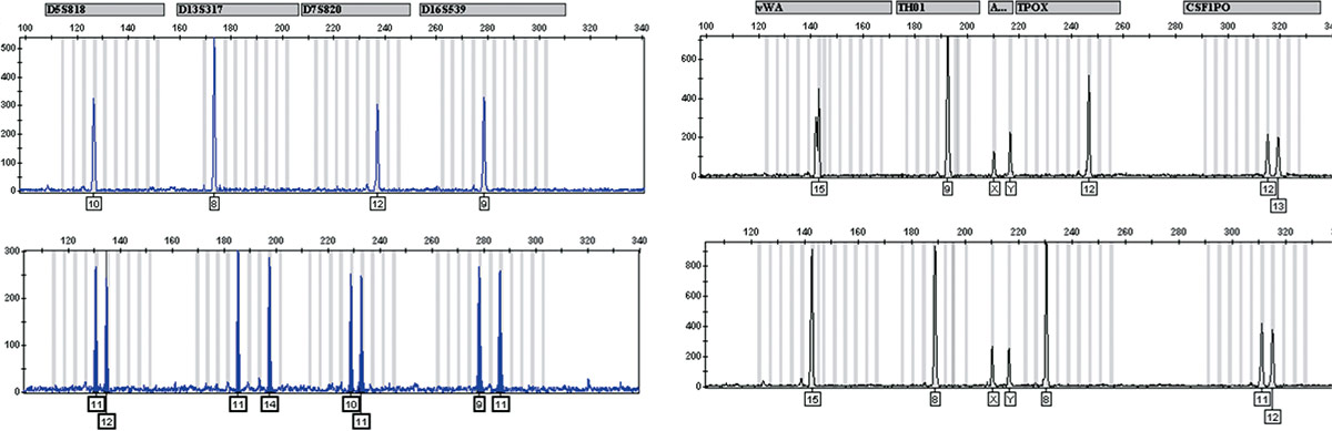Animal Cell Culture Guide | ATCC Animal Cell Culture Guide | ATCC