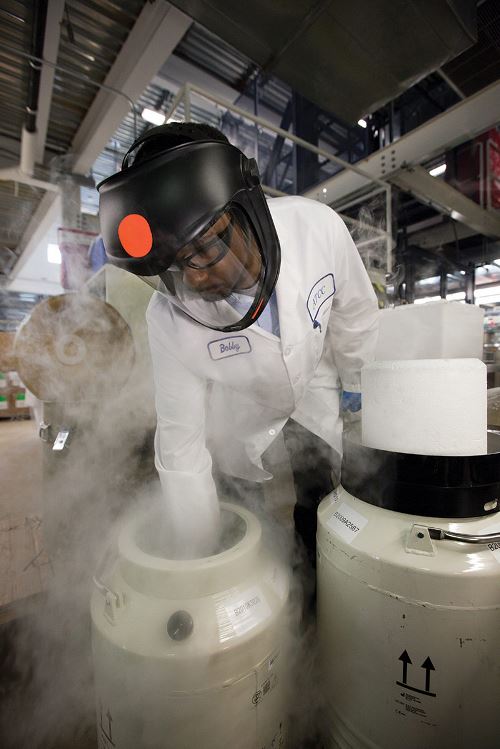 ATCC scientist in safety gear with hand in cryo-container