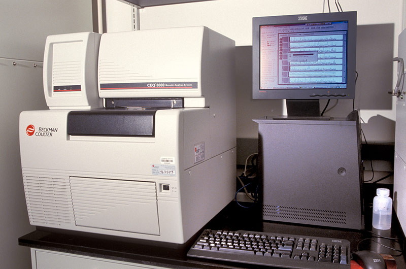 Beckman Coulter CEQ-8000 Analyzer equipment in a lab.