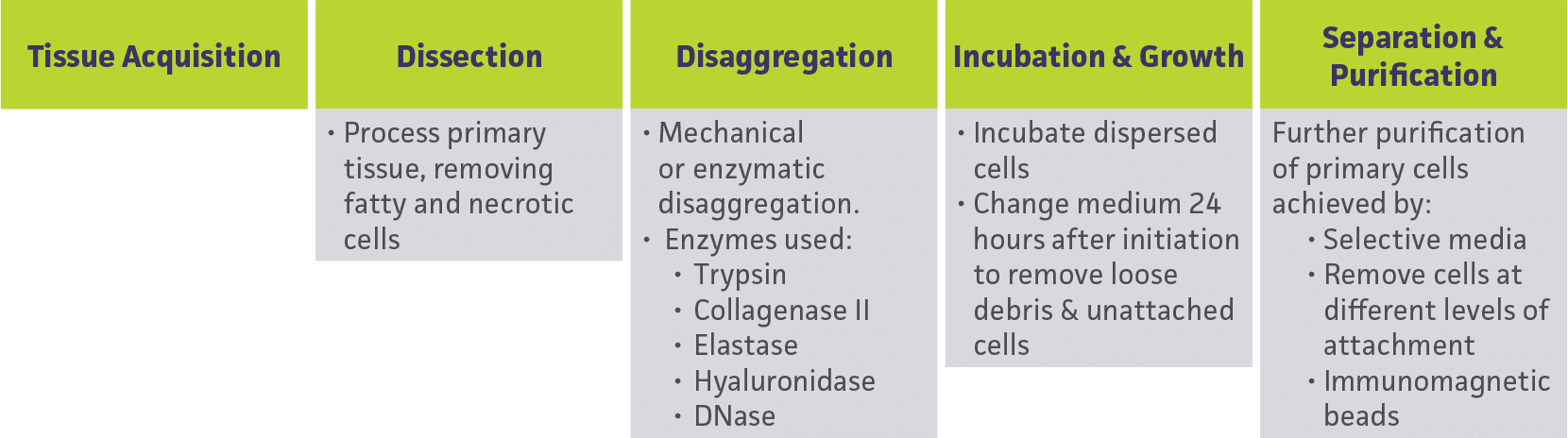 Primary Cell Culture Guide | ATCC Primary Cell Culture Guide | ATCC