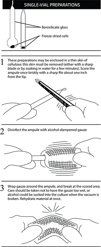 Virology Culture Guide | ATCC