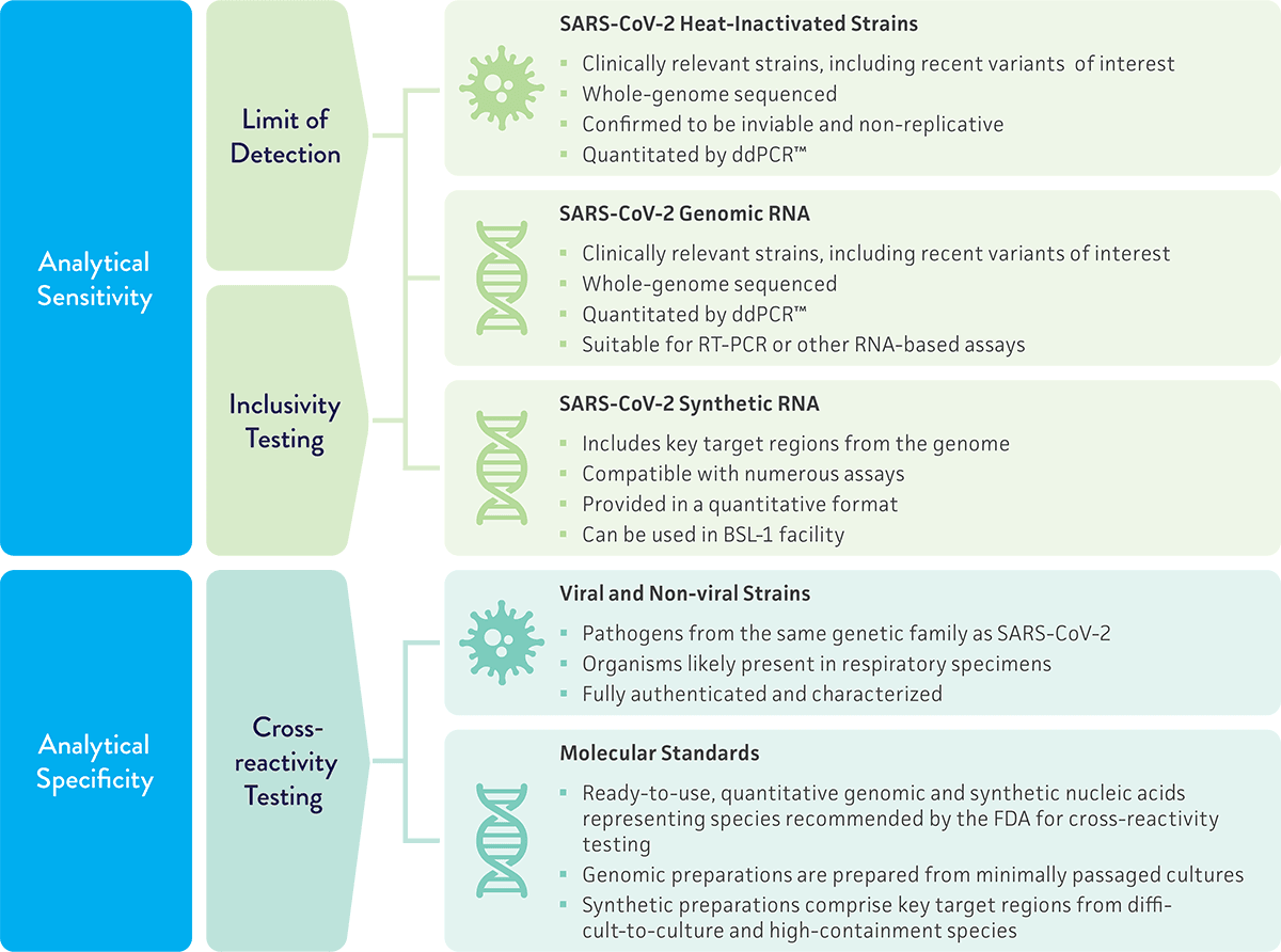SARS-CoV-2 Molecular Diagnostics Development