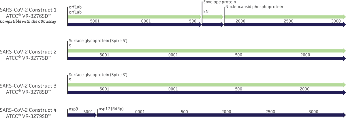 SARS-CoV-2 Synthetic RNA