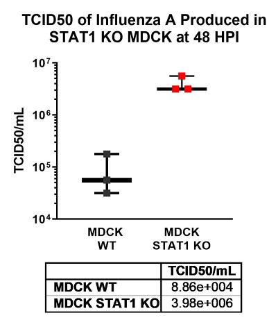 Data showing Influenza A produced in STAT1 KO MDCK cells at 48 hours postinfection