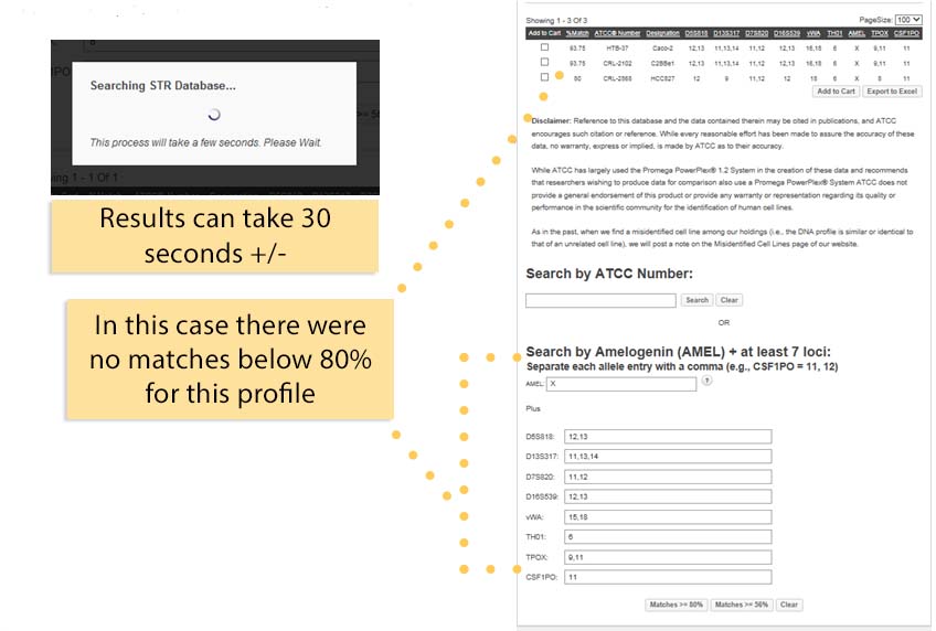 STR Authentication using the ATCC STR database | ATCC