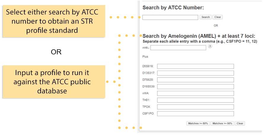 str search fields