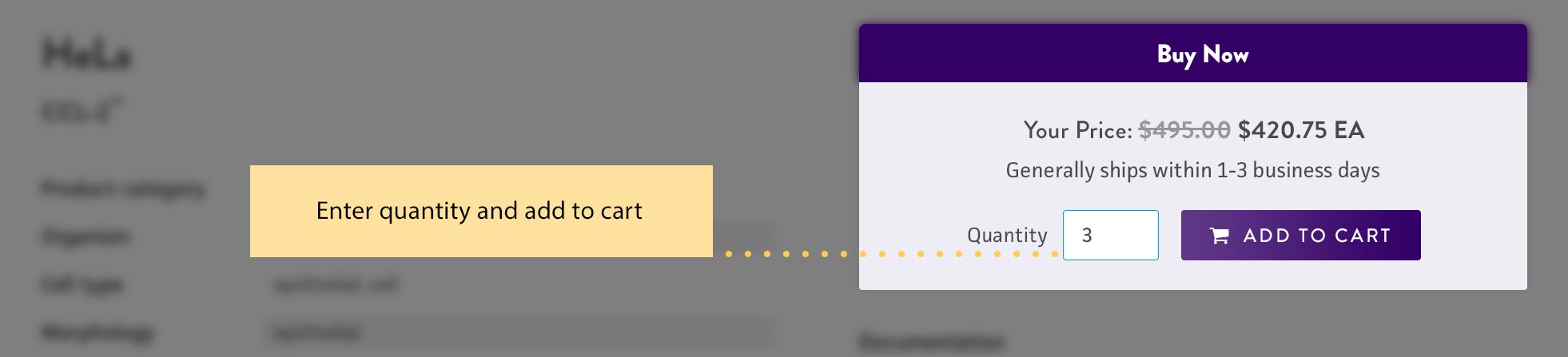 price and add to cart