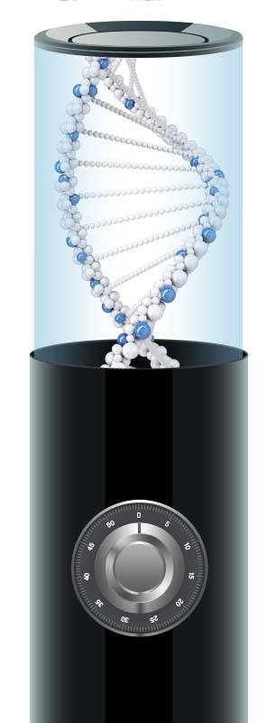 Computer graphic image of DNA container with lock at bottom.