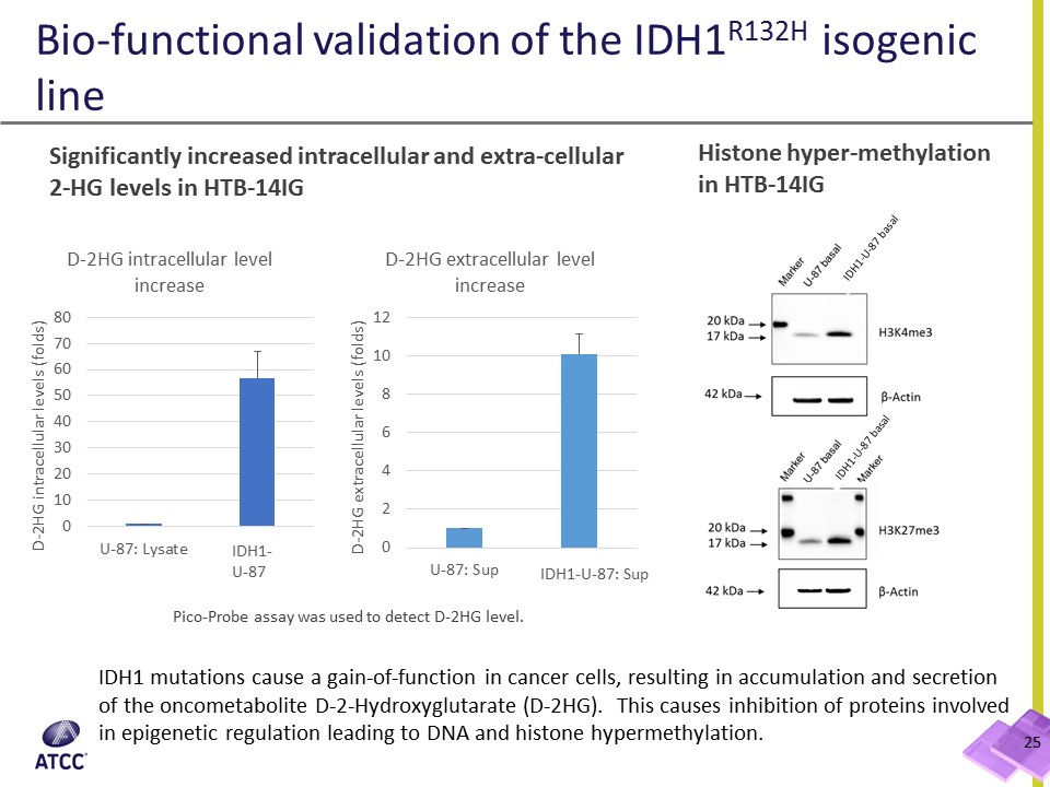 ATCC HTB-14IG Bio-functional validation data