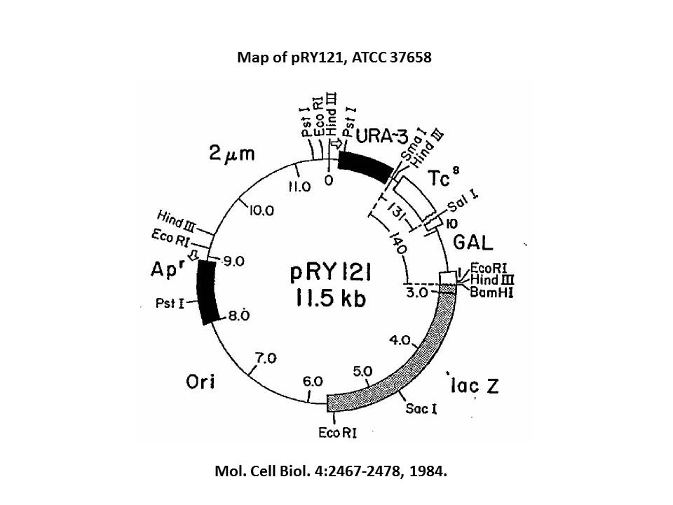 37658 vector map
