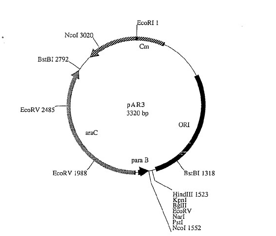 87026 vector map