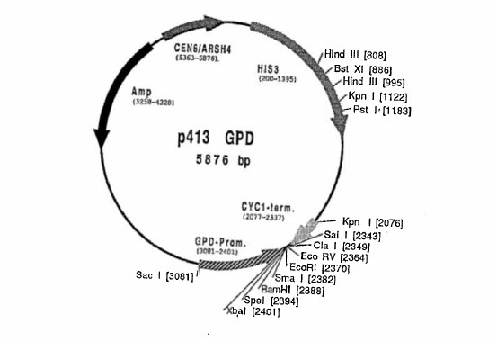 87354 vector map
