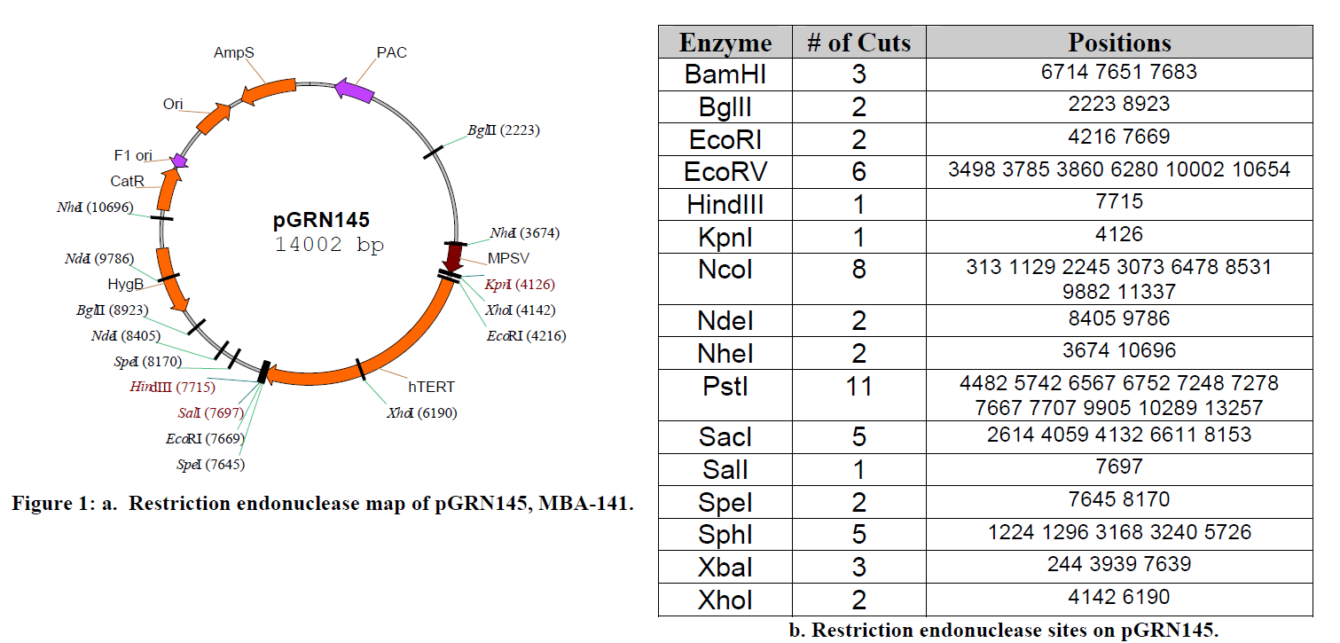 MBA-141 map