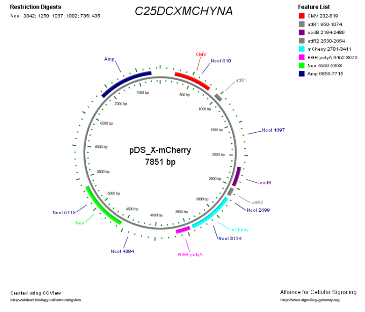 MBA-303 vector map