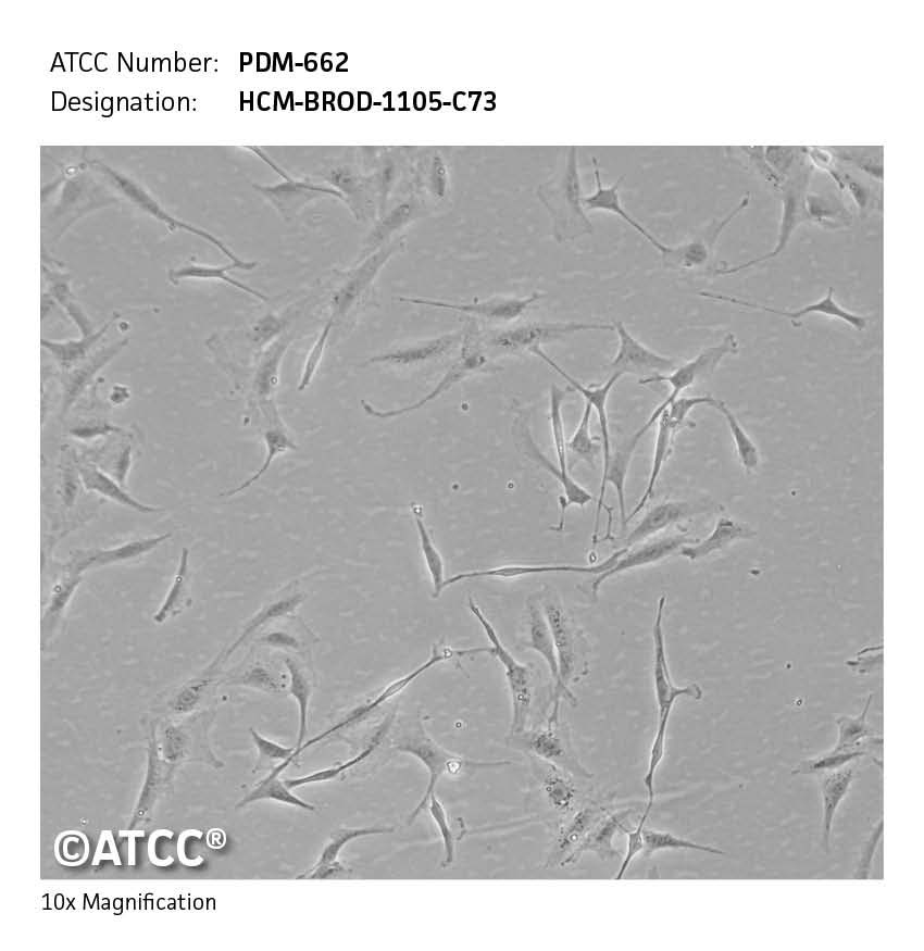 Cell micrograph of ATCC PDM-662