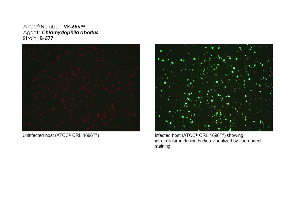 Satiページ SiTF Signal Transfer Function - Santa Barbara Infrared (SBIR
