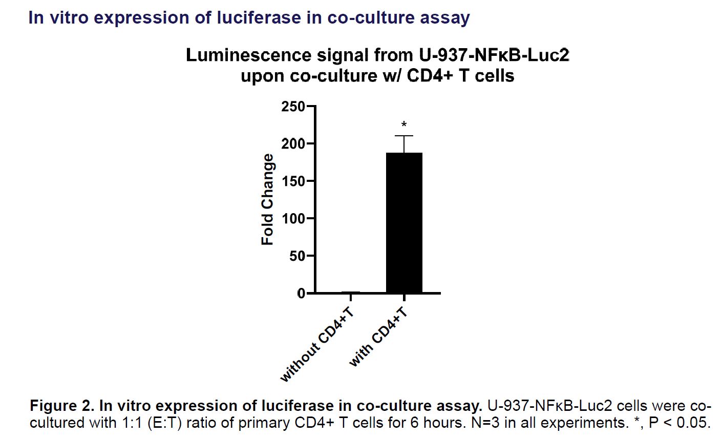 Application data U-937 NFκB-LUC2