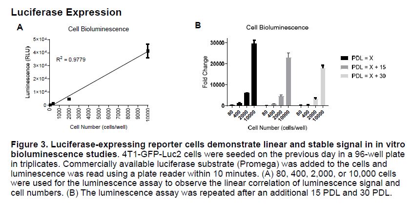 Fig 2 CRL-2539