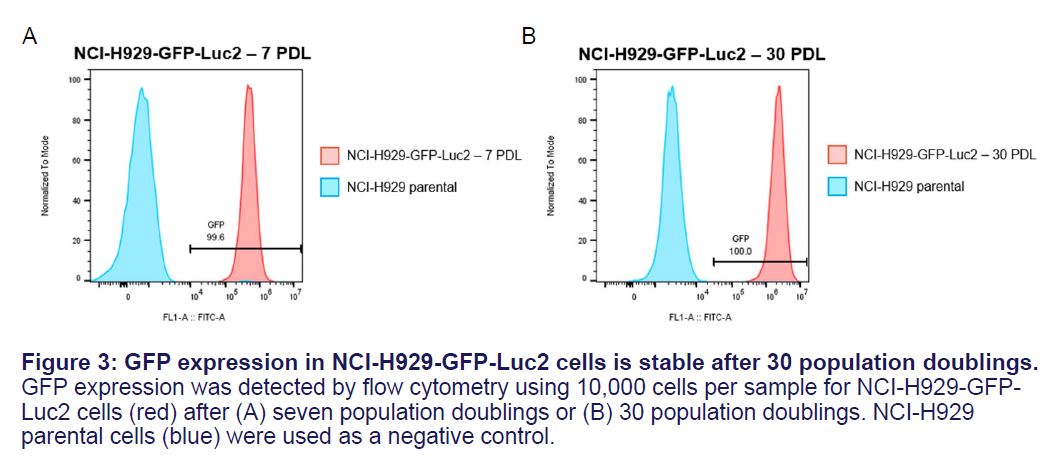 Fig 3 CRL-3580-GFP-LUC2