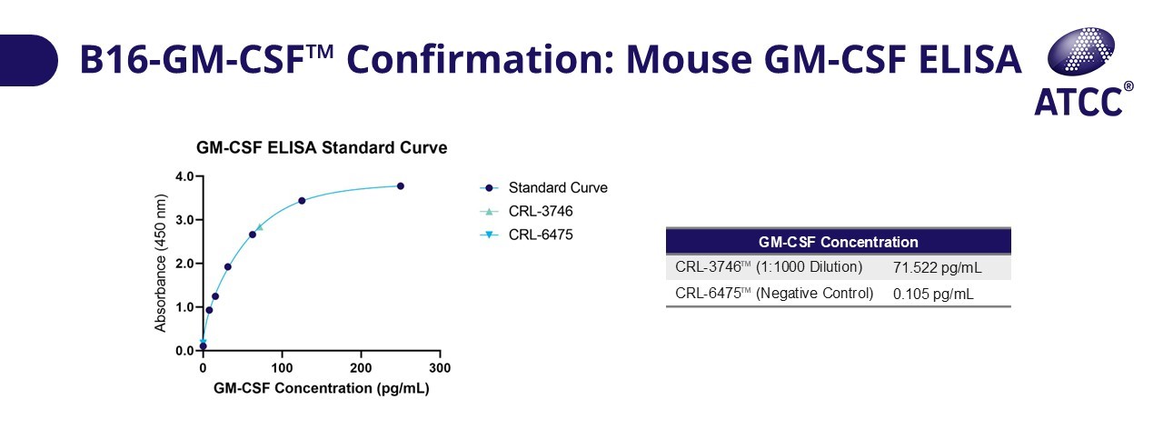 B16-GM-CSF Confirmation Mouse GM-CSF ELISA