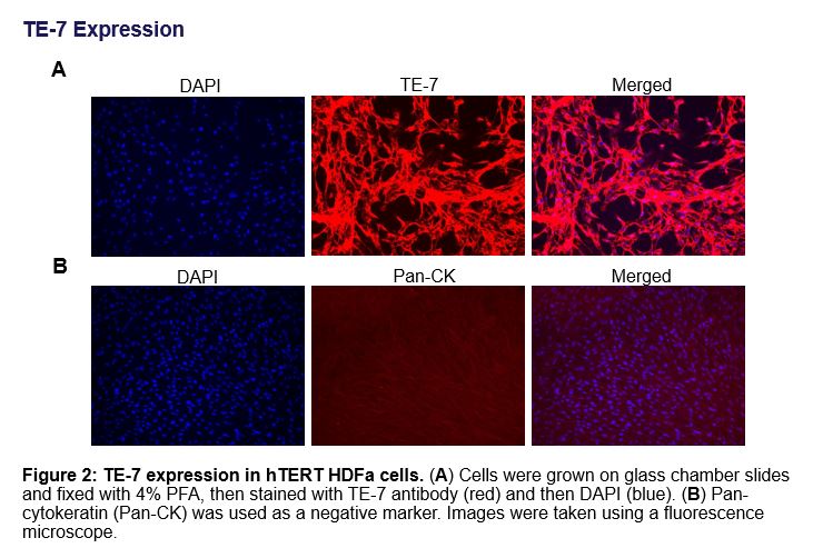CRL-4066 data